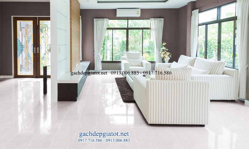 phoi_canh_6060_platinum_002