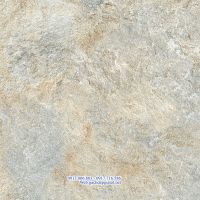 Gạch ốp lát Granite Viglacera Eco 822